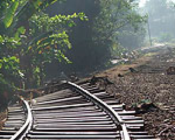 SriLankax_181.jpg